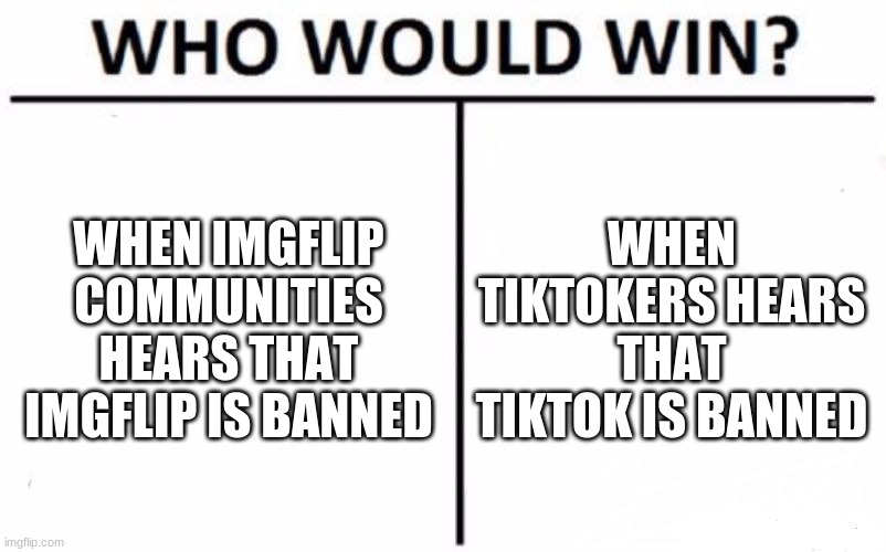 Of course we're gonna win | WHEN IMGFLIP COMMUNITIES HEARS THAT IMGFLIP IS BANNED; WHEN TIKTOKERS HEARS THAT TIKTOK IS BANNED | image tagged in memes,who would win | made w/ Imgflip meme maker