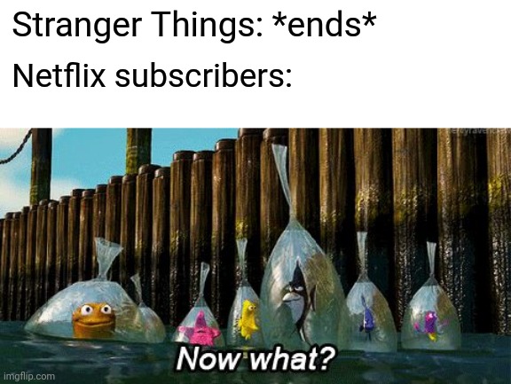 Now What? | Stranger Things: *ends*; Netflix subscribers: | image tagged in now what | made w/ Imgflip meme maker