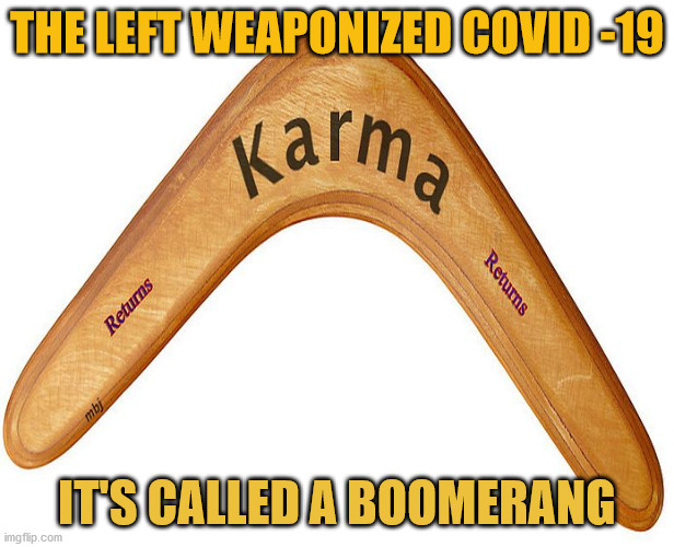 boomerang democrat lies | THE LEFT WEAPONIZED COVID -19; IT'S CALLED A BOOMERANG | image tagged in boomerang democrat lies | made w/ Imgflip meme maker