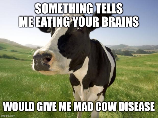 cow | SOMETHING TELLS ME EATING YOUR BRAINS WOULD GIVE ME MAD COW DISEASE | image tagged in cow | made w/ Imgflip meme maker