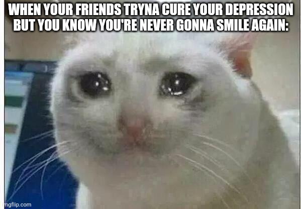 crying cat | WHEN YOUR FRIENDS TRYNA CURE YOUR DEPRESSION BUT YOU KNOW YOU'RE NEVER GONNA SMILE AGAIN: | image tagged in crying cat,my life | made w/ Imgflip meme maker
