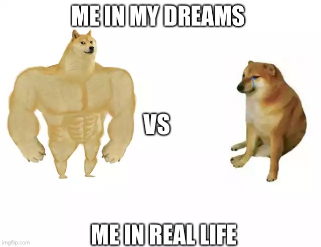 Buff Doge vs. Cheems Meme | ME IN MY DREAMS; VS; ME IN REAL LIFE | image tagged in buff doge vs cheems | made w/ Imgflip meme maker