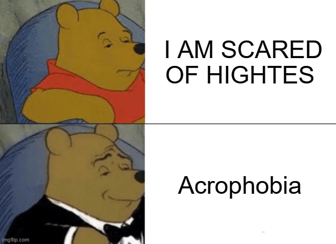 Tuxedo Winnie The Pooh Meme | I AM SCARED OF HIGHTES; Acrophobia | image tagged in memes,tuxedo winnie the pooh | made w/ Imgflip meme maker