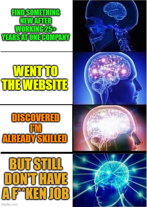 Expanding Brain | FIND SOMETHING NEW AFTER WORKING 25+ YEARS AT ONE COMPANY; WENT TO THE WEBSITE; DISCOVERED I'M ALREADY SKILLED; BUT STILL DON'T HAVE A F**KEN JOB | image tagged in memes,expanding brain | made w/ Imgflip meme maker