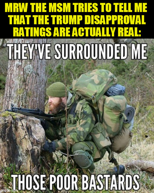 I think they're even more desperate and willing to lie now than in 2016 | MRW THE MSM TRIES TO TELL ME 
THAT THE TRUMP DISAPPROVAL RATINGS ARE ACTUALLY REAL: | image tagged in trump 2020,liberal media | made w/ Imgflip meme maker