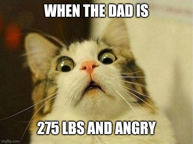 Scared Cat | WHEN THE DAD IS; 275 LBS AND ANGRY | image tagged in memes,scared cat | made w/ Imgflip meme maker