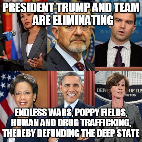 Defunding the Deep State | PRESIDENT TRUMP AND TEAM
  ARE ELIMINATING; ENDLESS WARS, POPPY FIELDS, HUMAN AND DRUG TRAFFICKING, THEREBY DEFUNDING THE DEEP STATE | image tagged in deep state,trump,wars,human trafficking,drugs,defunding | made w/ Imgflip meme maker