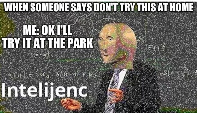 Intelijenc | WHEN SOMEONE SAYS DON'T TRY THIS AT HOME; ME: OK I'LL TRY IT AT THE PARK | image tagged in funny meme,intelligence,funny | made w/ Imgflip meme maker