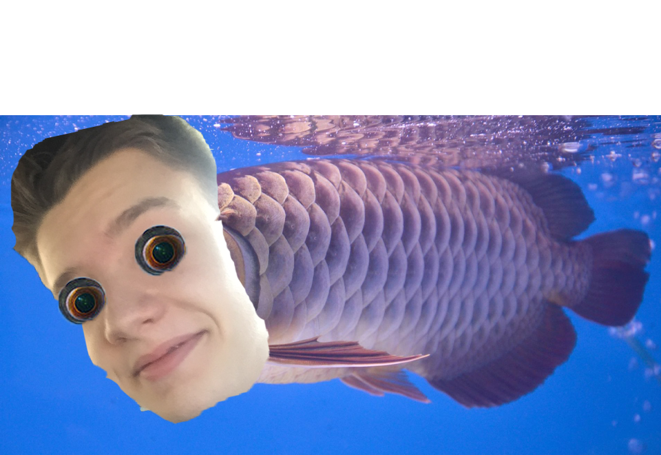 FISH BREAD Blank Meme Template