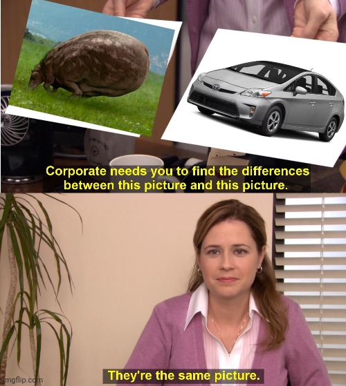 They're The Same Picture | image tagged in memes,they're the same picture | made w/ Imgflip meme maker