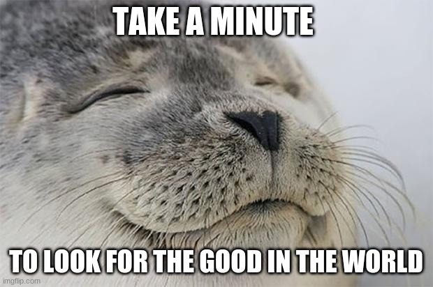 Be Happy |  TAKE A MINUTE; TO LOOK FOR THE GOOD IN THE WORLD | image tagged in memes,satisfied seal | made w/ Imgflip meme maker