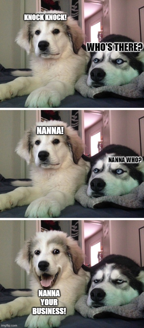 Bad pun dogs | KNOCK KNOCK! WHO'S THERE? NANNA! NANNA WHO? NANNA YOUR BUSINESS! | image tagged in bad pun dogs,dog memes,funny dogs,bad joke,puns,jokes | made w/ Imgflip meme maker