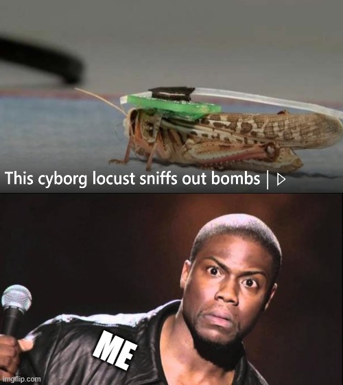 Found this while I was browsing the New tab section on Microsoft Edge. | ME | image tagged in kevin hart the hell,locust,cyborg,bomb,wait what,wtf did i just read | made w/ Imgflip meme maker