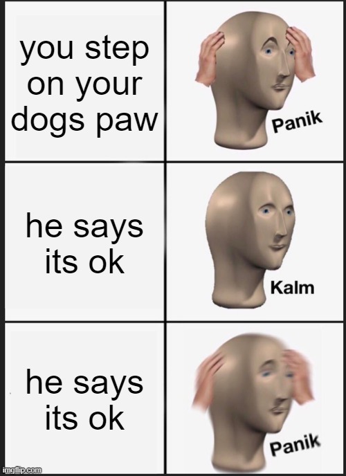 Dogs are cool | you step on your dogs paw; he says its ok; he says its ok | image tagged in memes,panik kalm panik,dogs | made w/ Imgflip meme maker