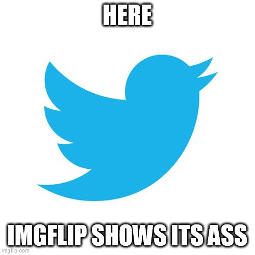 Twitter birds says | HERE; IMGFLIP SHOWS ITS ASS | image tagged in twitter birds says | made w/ Imgflip meme maker