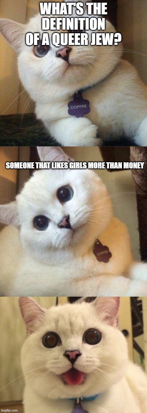bad pun cat  |  WHAT'S THE DEFINITION OF A QUEER JEW? SOMEONE THAT LIKES GIRLS MORE THAN MONEY | image tagged in bad pun cat,jews,money,bad jokes,funny cat memes,bad puns | made w/ Imgflip meme maker