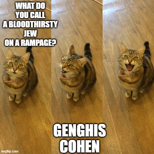 Bad Pun Cat | WHAT DO YOU CALL A BLOODTHIRSTY JEW ON A RAMPAGE? GENGHIS COHEN | image tagged in bad pun cat,funny cat memes,bad jokes,cat memes,bad pun,jews | made w/ Imgflip meme maker