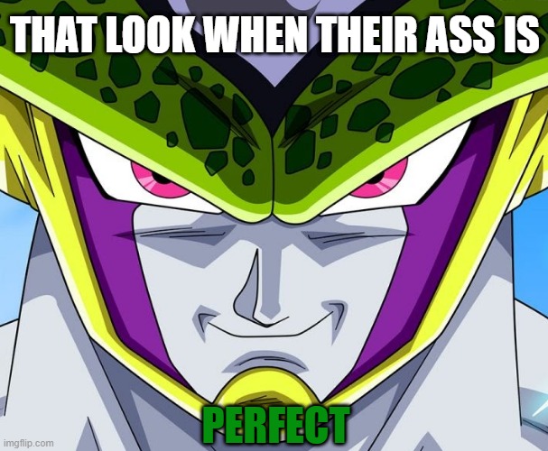 Cell's Perfect Smirk | THAT LOOK WHEN THEIR ASS IS; PERFECT | image tagged in dbz meme,dragon ball z,perfection,perfect,dat ass | made w/ Imgflip meme maker