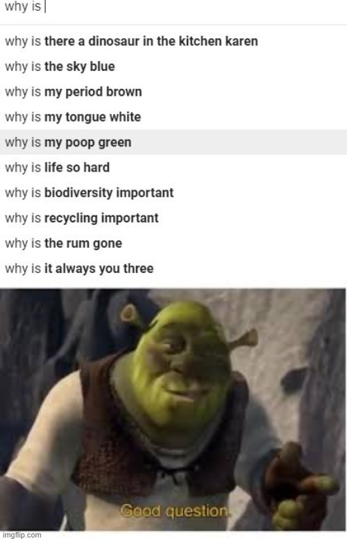 Random google searching | image tagged in shrek | made w/ Imgflip meme maker