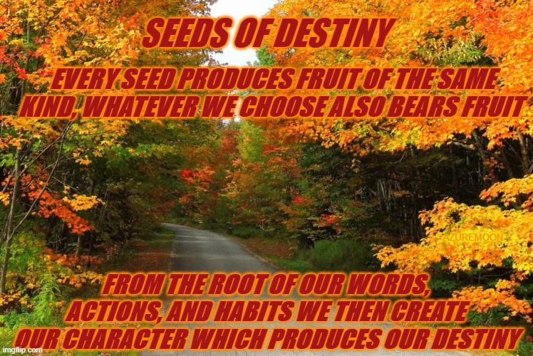 THOUGHTS CREATE LIFE | SEEDS OF DESTINY; EVERY SEED PRODUCES FRUIT OF THE SAME KIND, WHATEVER WE CHOOSE ALSO BEARS FRUIT; AZUREMOON; FROM THE ROOT OF OUR WORDS, ACTIONS, AND HABITS WE THEN CREATE OUR CHARACTER WHICH PRODUCES OUR DESTINY | image tagged in inspirational,inspirational memes,journey | made w/ Imgflip meme maker