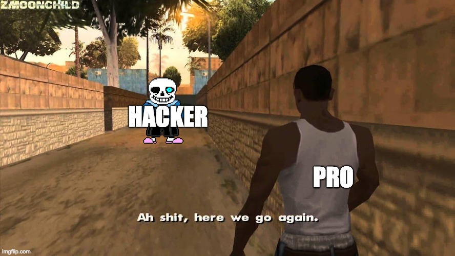 Here we go again | HACKER; PRO | image tagged in here we go again | made w/ Imgflip meme maker