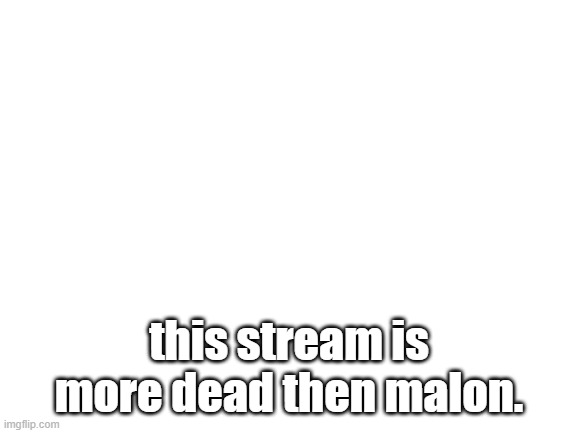 Blank White Template |  this stream is more dead then malon. | image tagged in blank white template | made w/ Imgflip meme maker