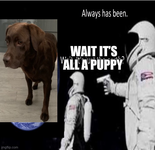 It’s all puppy | WAIT IT’S ALL A PUPPY | image tagged in astronaut | made w/ Imgflip meme maker