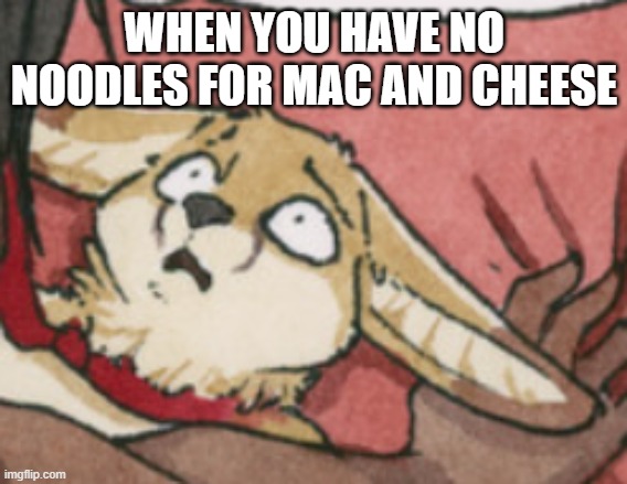 Not the Mac and Cheese | WHEN YOU HAVE NO NOODLES FOR MAC AND CHEESE | image tagged in furry,furry memes | made w/ Imgflip meme maker