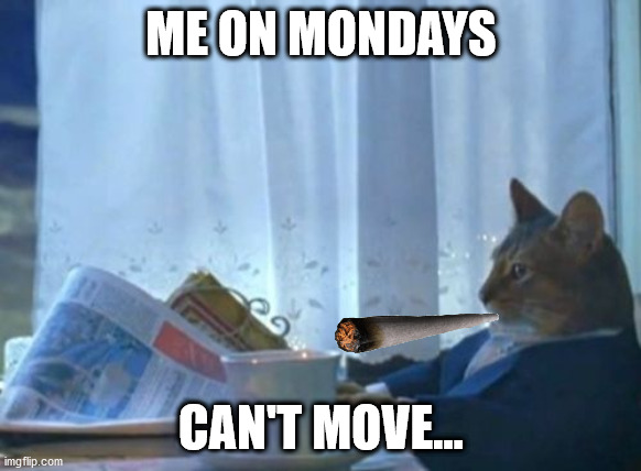 too lazy to move | ME ON MONDAYS; CAN'T MOVE... | image tagged in memes,i should buy a boat cat,cats,meme,funny,lazy | made w/ Imgflip meme maker