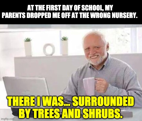 Harold | AT THE FIRST DAY OF SCHOOL, MY PARENTS DROPPED ME OFF AT THE WRONG NURSERY. THERE I WAS… SURROUNDED BY TREES AND SHRUBS. | image tagged in harold | made w/ Imgflip meme maker