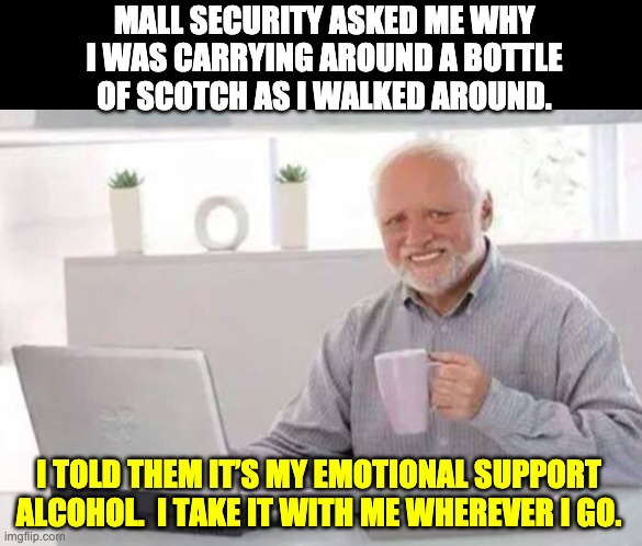 Harold | MALL SECURITY ASKED ME WHY I WAS CARRYING AROUND A BOTTLE OF SCOTCH AS I WALKED AROUND. I TOLD THEM IT’S MY EMOTIONAL SUPPORT ALCOHOL.  I TAKE IT WITH ME WHEREVER I GO. | image tagged in harold | made w/ Imgflip meme maker