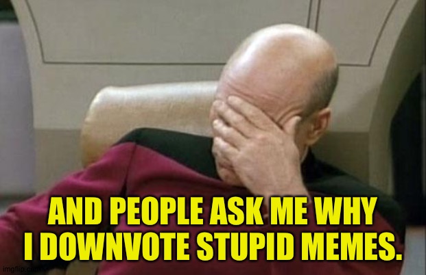 Captain Picard Facepalm Meme | AND PEOPLE ASK ME WHY I DOWNVOTE STUPID MEMES. | image tagged in memes,captain picard facepalm | made w/ Imgflip meme maker