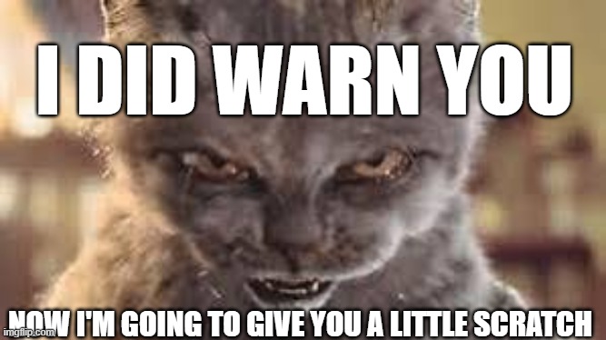 i did warn you | I DID WARN YOU; NOW I'M GOING TO GIVE YOU A LITTLE SCRATCH | image tagged in cat,bad cat,warning,i did warn you,crossed the line,revenge | made w/ Imgflip meme maker