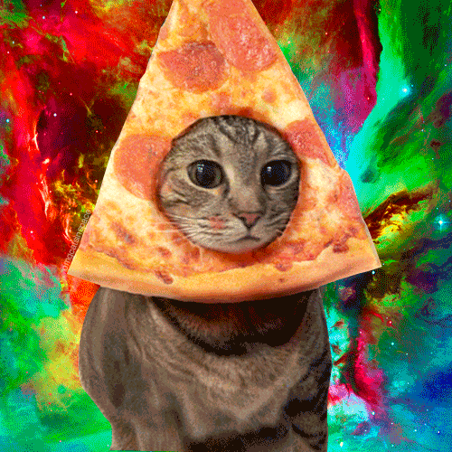 High Quality tie dye pizza cat Blank Meme Template