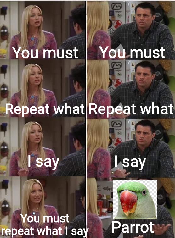My lesson? Imgflip doesn't consider transparent background! | You must; You must; Repeat what; Repeat what; I say; I say; You must repeat what I say; Parrot | image tagged in friends joey teached french,memes,funny | made w/ Imgflip meme maker