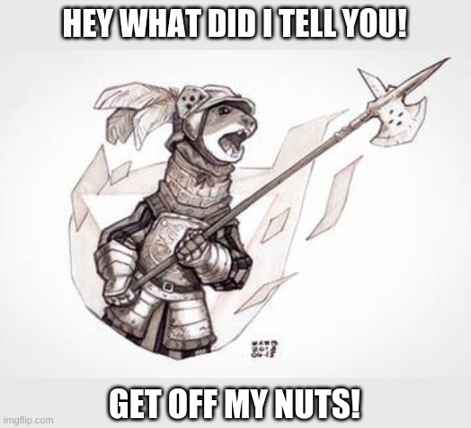 Angry Weasel | HEY WHAT DID I TELL YOU! GET OFF MY NUTS! | image tagged in angry weasel,animal,fantasy,knight | made w/ Imgflip meme maker