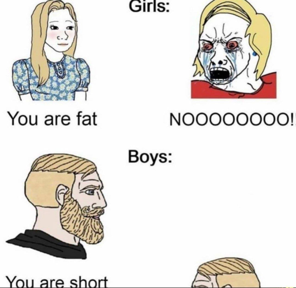 High Quality girls vs boys Blank Meme Template