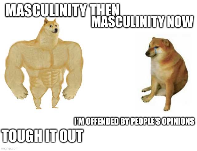 Buff Doge vs. Cheems | MASCULINITY THEN; MASCULINITY NOW; I’M OFFENDED BY PEOPLE’S OPINIONS; TOUGH IT OUT | image tagged in strong doge weak doge | made w/ Imgflip meme maker