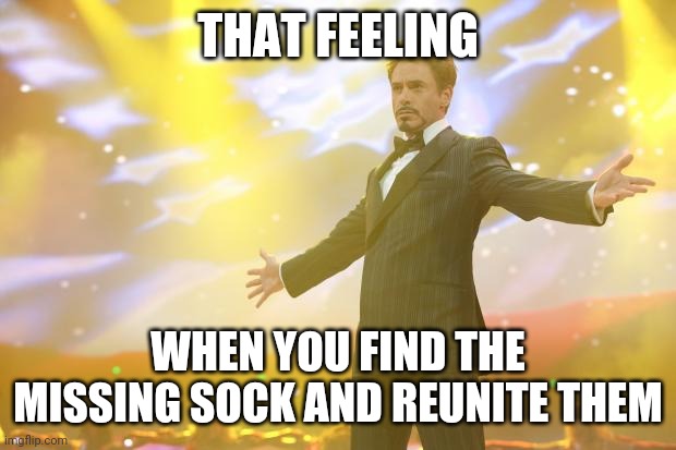 Tony Stark success | THAT FEELING; WHEN YOU FIND THE MISSING SOCK AND REUNITE THEM | image tagged in tony stark success | made w/ Imgflip meme maker