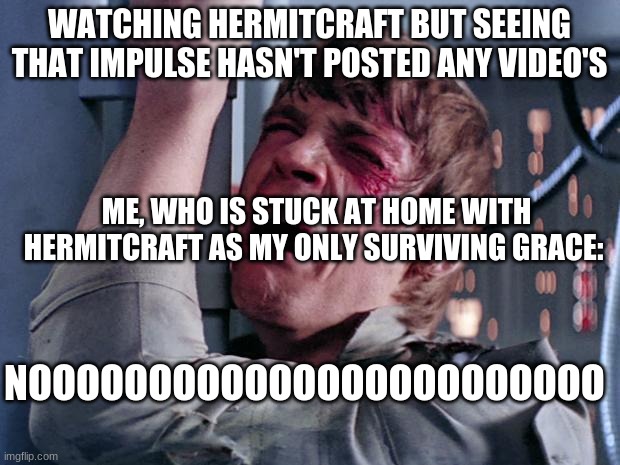 luke nooooo | WATCHING HERMITCRAFT BUT SEEING THAT IMPULSE HASN'T POSTED ANY VIDEO'S; ME, WHO IS STUCK AT HOME WITH HERMITCRAFT AS MY ONLY SURVIVING GRACE:; NOOOOOOOOOOOOOOOOOOOOOOOO | image tagged in luke nooooo | made w/ Imgflip meme maker
