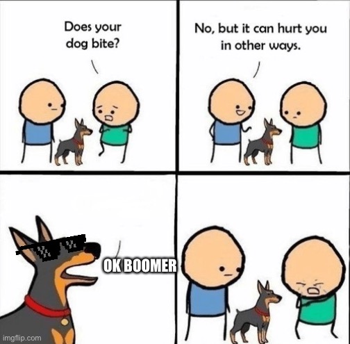 When someone calls you boomer | OK BOOMER | image tagged in does your dog bite,ok boomer | made w/ Imgflip meme maker