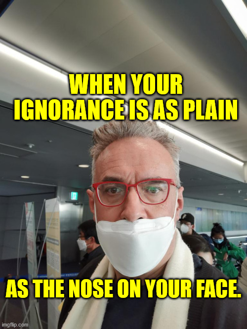 Does your mama still have to dress you? | WHEN YOUR IGNORANCE IS AS PLAIN; AS THE NOSE ON YOUR FACE. | image tagged in face mask,ignorance,covid 19 | made w/ Imgflip meme maker