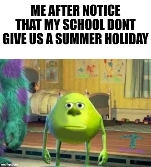 no summer :[[[ | ME AFTER NOTICE THAT MY SCHOOL DONT GIVE US A SUMMER HOLIDAY | image tagged in memes | made w/ Imgflip meme maker