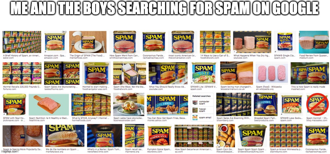 This is this stream | ME AND THE BOYS SEARCHING FOR SPAM ON GOOGLE | image tagged in spam | made w/ Imgflip meme maker