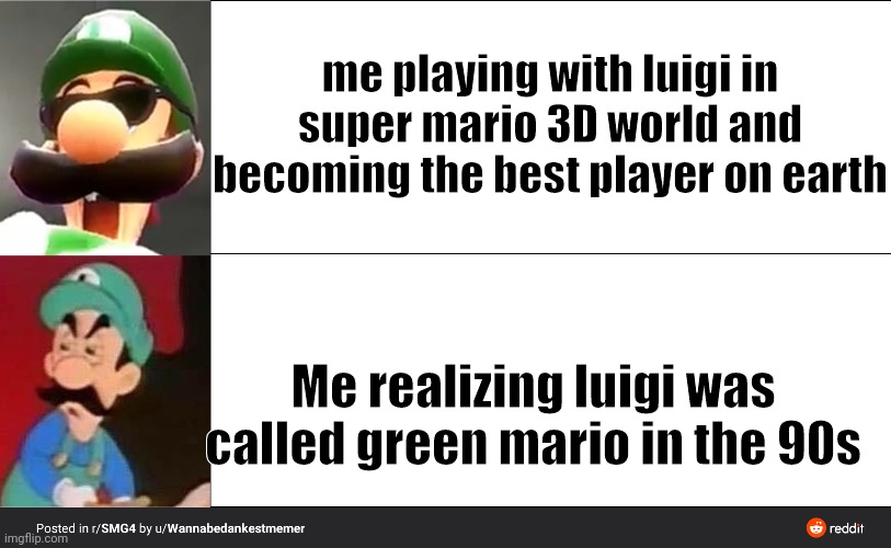7 year old me playing luigi in sm3dw vs me realizing luigi was called green mario in the 90s | me playing with luigi in super mario 3D world and becoming the best player on earth; Me realizing luigi was called green mario in the 90s | image tagged in luigi drake meme | made w/ Imgflip meme maker