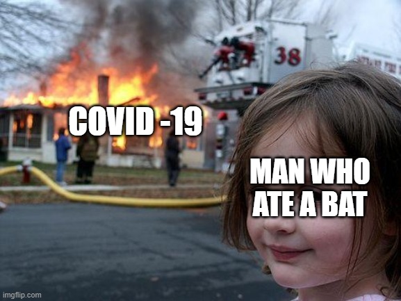 Disaster Girl | COVID -19; MAN WHO ATE A BAT | image tagged in memes,disaster girl | made w/ Imgflip meme maker
