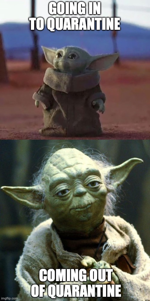 GOING IN TO QUARANTINE; COMING OUT OF QUARANTINE | image tagged in baby yoda | made w/ Imgflip meme maker