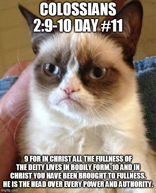 Grumpy Cat | COLOSSIANS 2:9-10 DAY #11; 9 FOR IN CHRIST ALL THE FULLNESS OF THE DEITY LIVES IN BODILY FORM, 10 AND IN CHRIST YOU HAVE BEEN BROUGHT TO FULLNESS. HE IS THE HEAD OVER EVERY POWER AND AUTHORITY. | image tagged in memes,grumpy cat | made w/ Imgflip meme maker