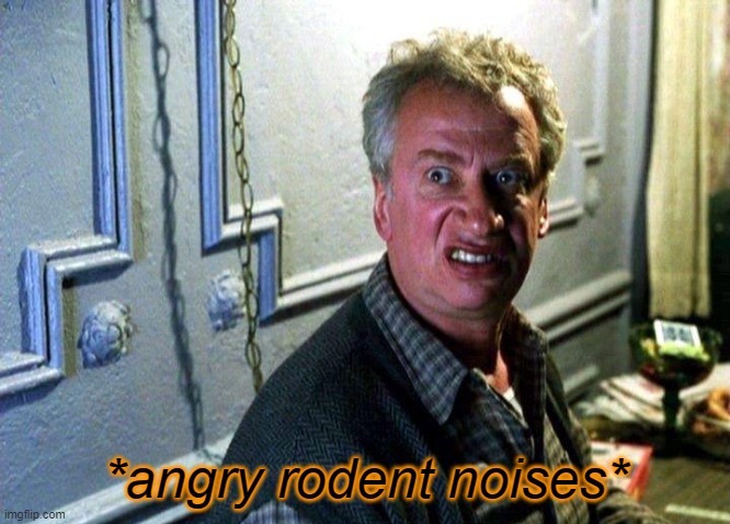 Angry rodent noises | image tagged in angry rodent noises | made w/ Imgflip meme maker