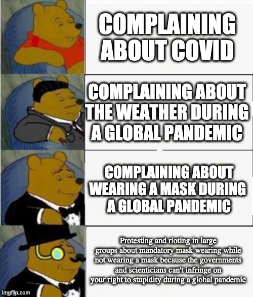 +Next Level Entitlement | COMPLAINING ABOUT COVID; COMPLAINING ABOUT THE WEATHER DURING A GLOBAL PANDEMIC; COMPLAINING ABOUT WEARING A MASK DURING 
A GLOBAL PANDEMIC; Protesting and rioting in large groups about mandatory mask wearing while not wearing a mask because the governments and scienticians can't infringe on your right to stupidity during a global pandemic | image tagged in tuxedo winnie the pooh 4 panel | made w/ Imgflip meme maker